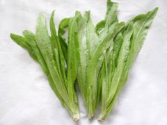油麦菜